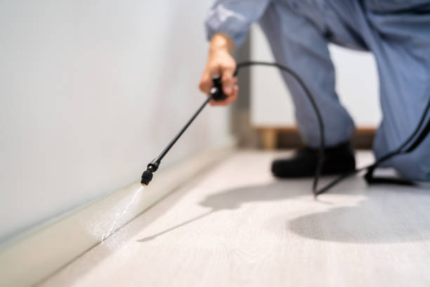Licensed Rodent Control service in Wallace County County, KS - Nex Pest Control